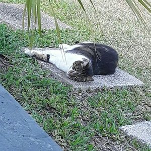 Meet your Posher, Carl